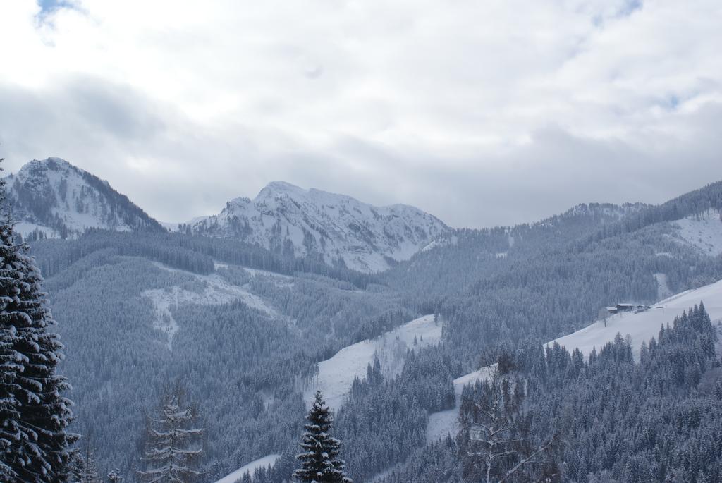 Pension Chalet Bergseegut Ваграйн Екстериор снимка