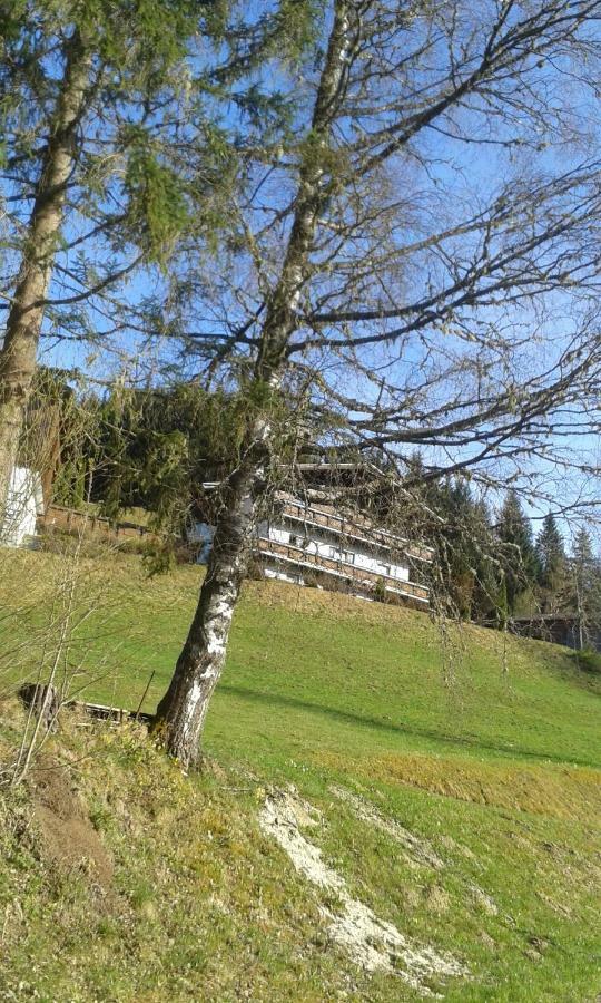 Pension Chalet Bergseegut Ваграйн Екстериор снимка