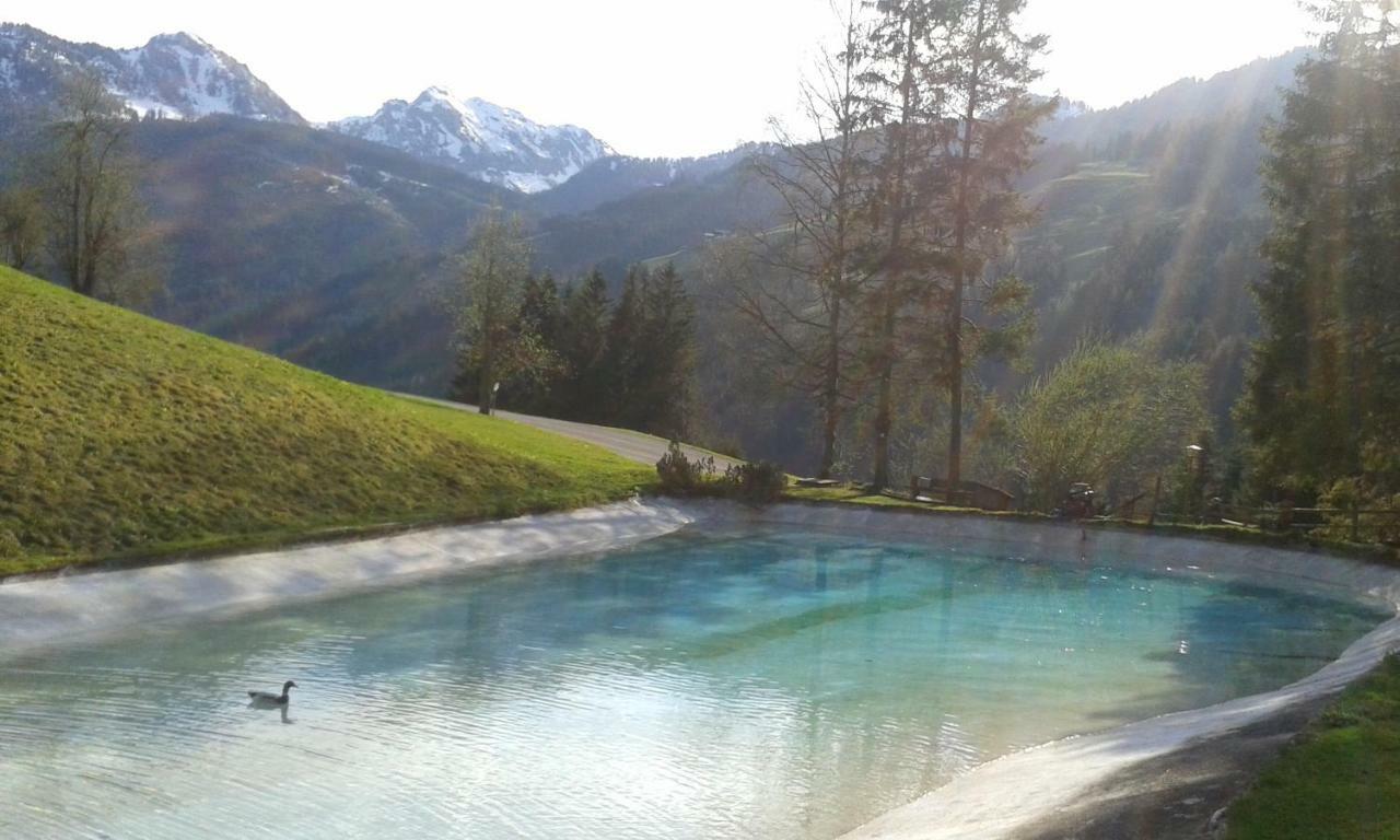 Pension Chalet Bergseegut Ваграйн Екстериор снимка