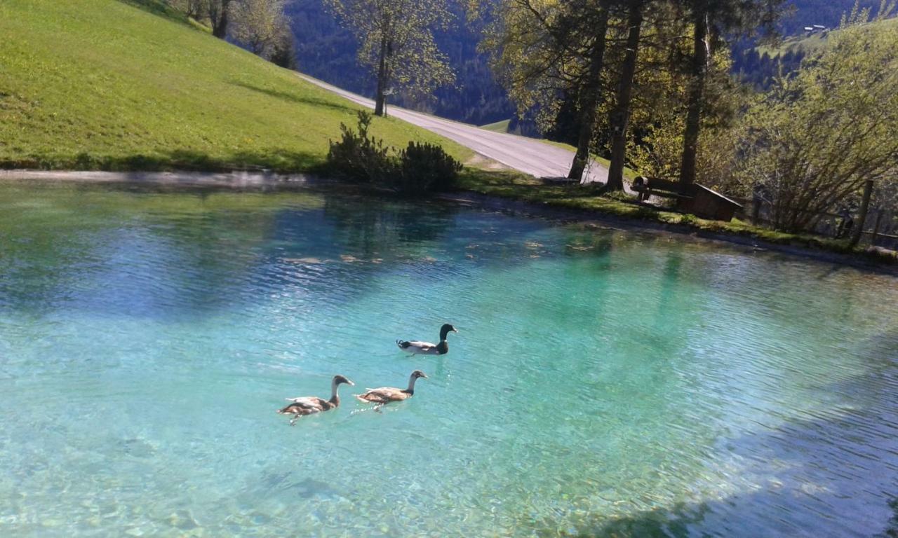 Pension Chalet Bergseegut Ваграйн Екстериор снимка