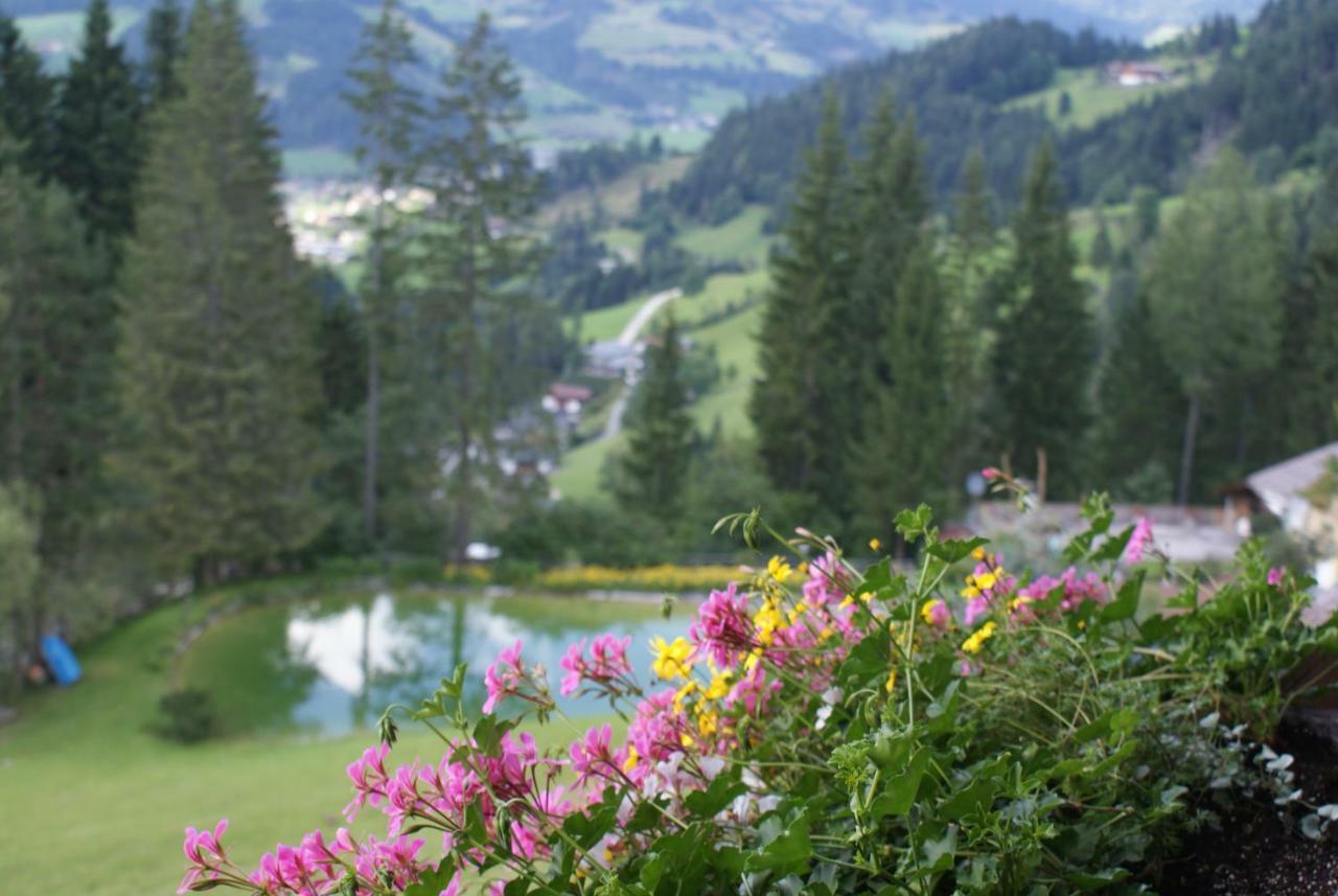 Pension Chalet Bergseegut Ваграйн Екстериор снимка