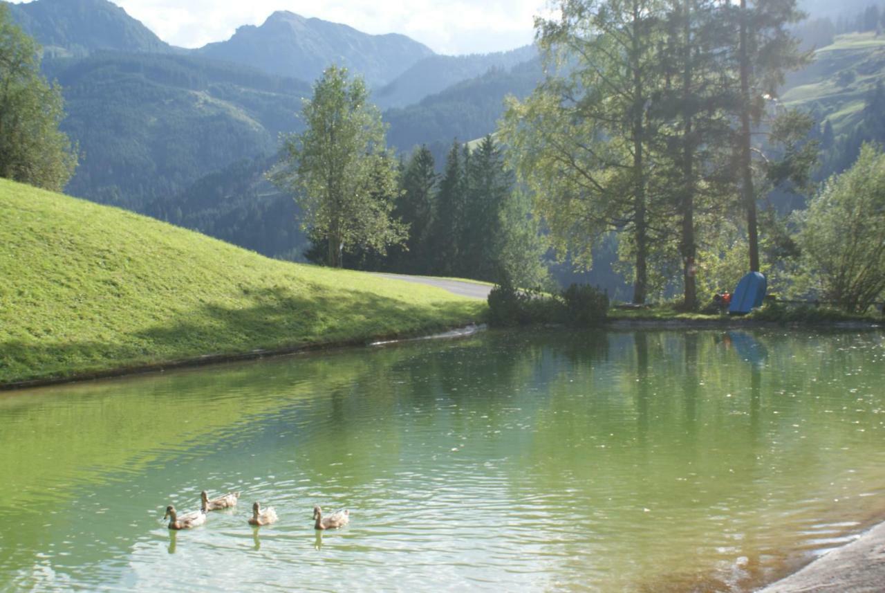 Pension Chalet Bergseegut Ваграйн Екстериор снимка