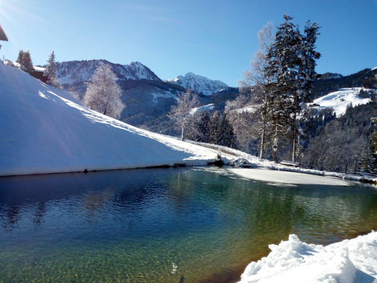 Pension Chalet Bergseegut Ваграйн Екстериор снимка