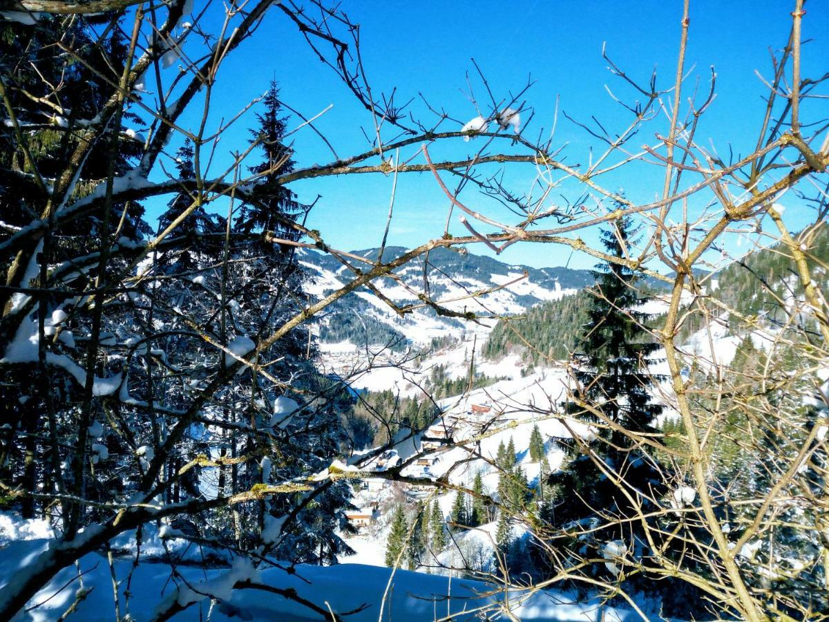 Pension Chalet Bergseegut Ваграйн Екстериор снимка